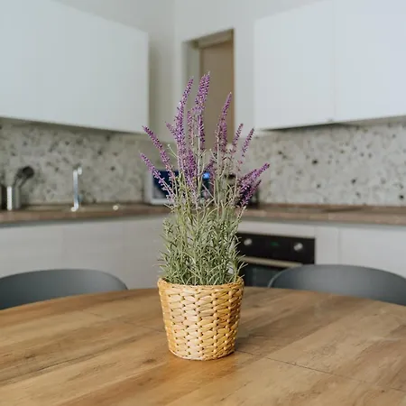 Yourbanflat Orto Botanico * פאדובה